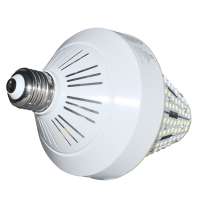 40W warm white led bulb raw material light Manufacture price corn led lamp for india