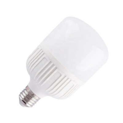 Cheap raw material led grow bulb light daylight